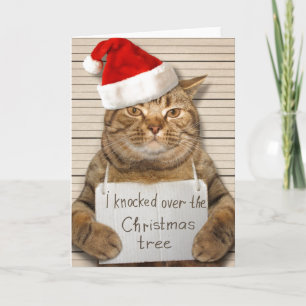 Skyldig katt i tomtehatt julkort kort