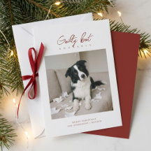 Skyldig Men Bedårande Rolig Hund Foto Jul
