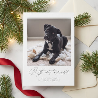 Skyldig Men Bedårande | Rolig Hund Foto Jul Julkort