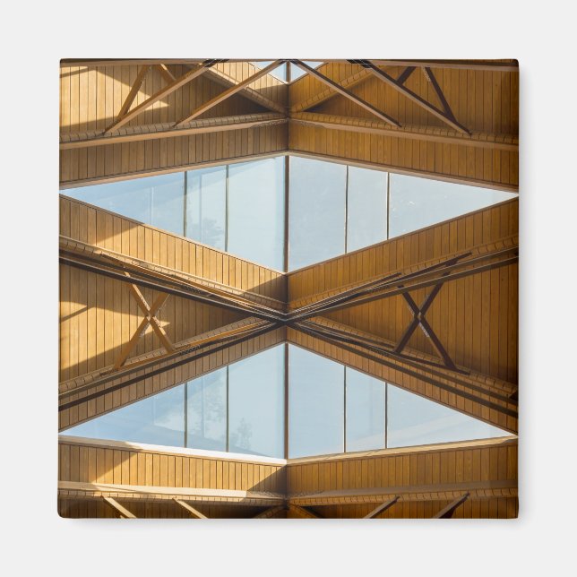Skylight Above Anthony Magnet (Framsidan)