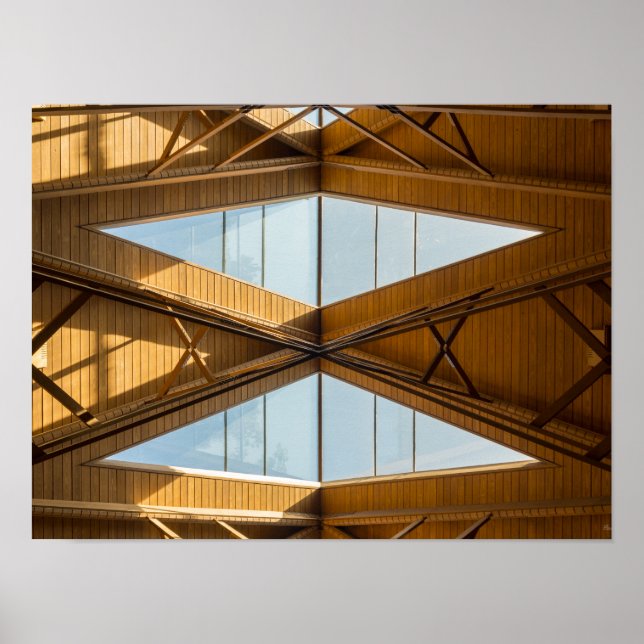 Skylight Above Anthony Poster (Framsidan)