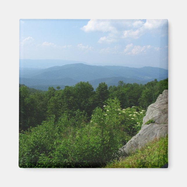 Skyline Drive Shenandoah nationalpark Magnet (Framsidan)