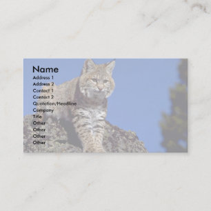 Skylined Bobcat Visitkort