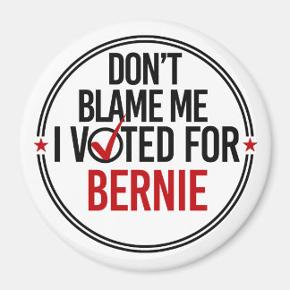 Skyll mig inte på att jag röstade för Bernie - Rou Magnet