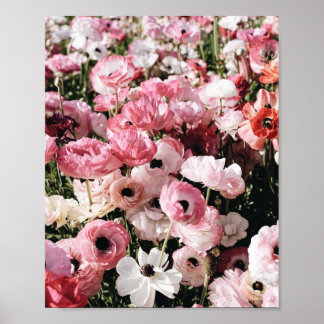 Skylt med rosa och vit blomma