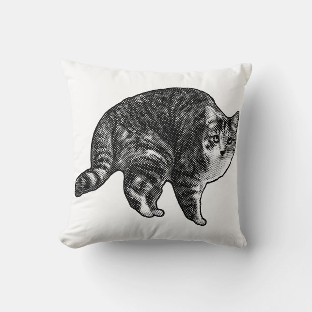 Skymning Tabby Klocka Kudde (Framsida)