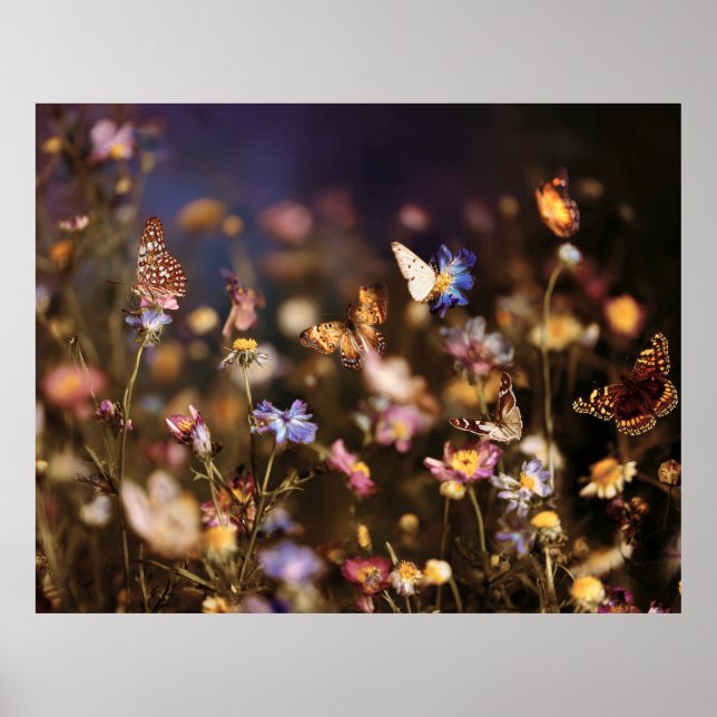 Skymningsfjärilar Vildblomsäng Glöd Poster (Framsidan)