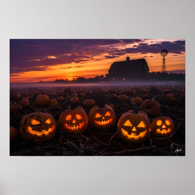 Skymningsstämning på pumpafält Panorama Poster (Framsidan)