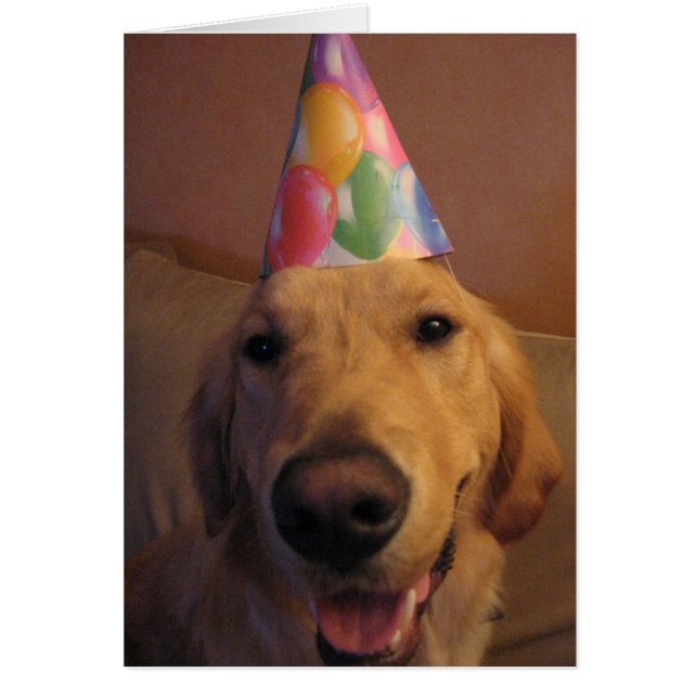 Skynda sig upp och äta hälsningskort (Framsidan)