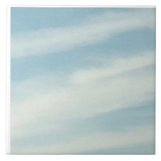 Skypromenera Ceramic Tile Kakelplatta