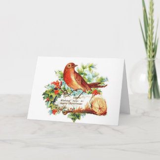 Skyra julhälsningar helgkort