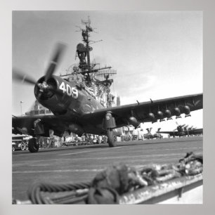 Skyraider Poster