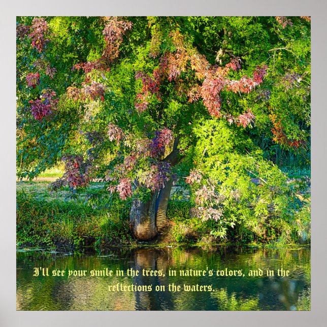 SkyRidge naturreservat Poster (Framsidan)