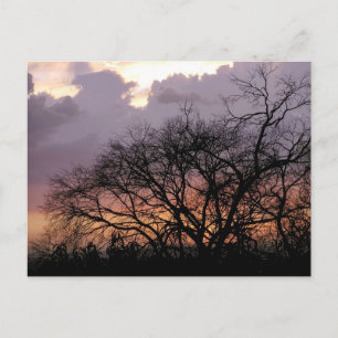 Skyscape Grenar vykort