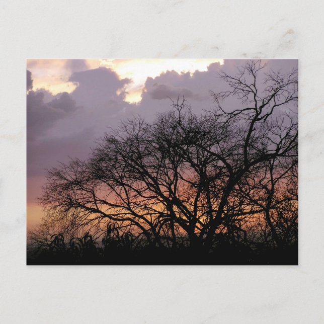 Skyscape Grenar vykort (Framsida)