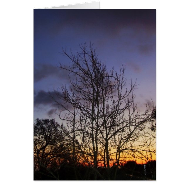 Skyscapes #001-kort hälsningskort (Framsidan)