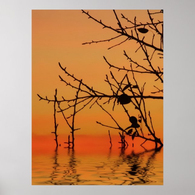 Skysning Photoart-utskrift Poster (Framsidan)