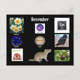 Skytten December Födelsemånad  POSTKORT Vykort
