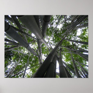 Skyward bambu poster