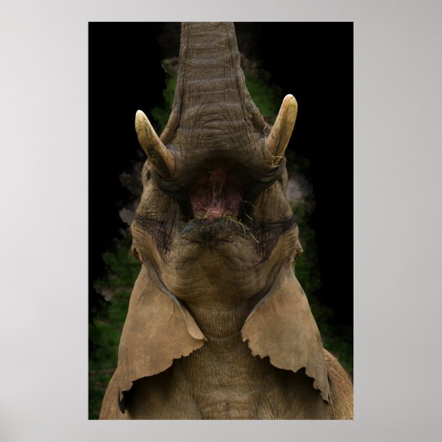 Skyward Snack Elephants uppåtriktade Reach Poster (Framsidan)