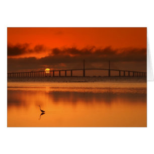 Skyway Bridge Hälsningskort