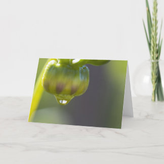 Slå ut och tappa hälsningkortet kort