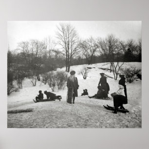 Slädåkning i Central Park, 1906. Gammalt foto Poster