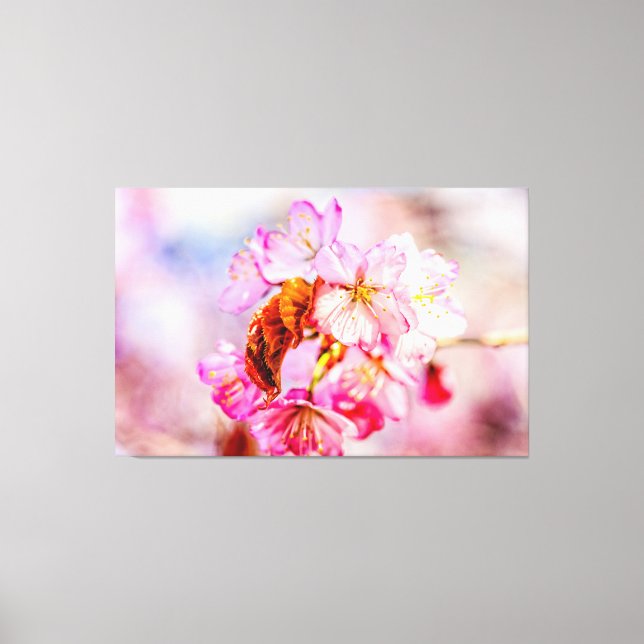 Slående knippe rosa Sakura-blommor på våren Canvastryck (Framsida)