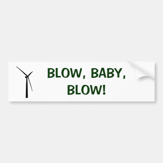 SLAG BABY, SLAG! BILDEKAL (Framsidan)
