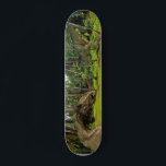 Slaget Fantasy T-Rex Tyrannosaurus Dragon Mini Skateboard Bräda 18,5 Cm<br><div class="desc">Den här designen kan vara personlig genom att välja anpassningsalternativet för att lägga till text eller göra andra ändringar. Om den här produkten har möjlighet att överföra designen till en annan artikel ska du vid behov justera designen så att den passar. Kontakta mig på colorflowcreations@gmail.com om du vill ha den...</div>