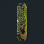 Slaget Fantasy T-Rex Tyrannosaurus Dragon Mini Skateboard Bräda 18,5 Cm<br><div class="desc">Den här designen kan vara personlig genom att välja anpassningsalternativet för att lägga till text eller göra andra ändringar. Om den här produkten har möjlighet att överföra designen till en annan artikel ska du vid behov justera designen så att den passar. Kontakta mig på colorflowcreations@gmail.com om du vill ha den...</div>