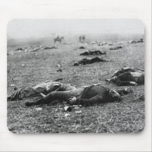 Slaget vid Gettysburg ~ Dödsskörd juli 1863 Musmatta