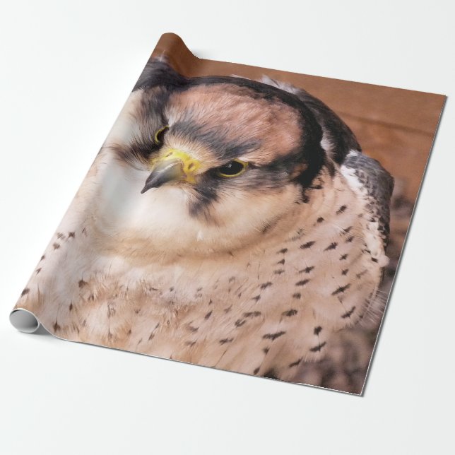 Slagfalk Presentpapper (Utrullad)