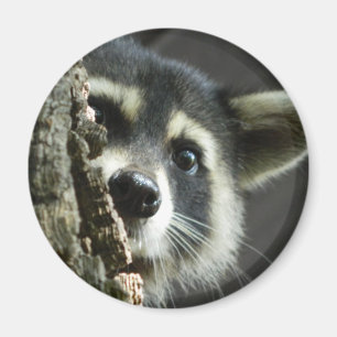 Slagit sönder magnet