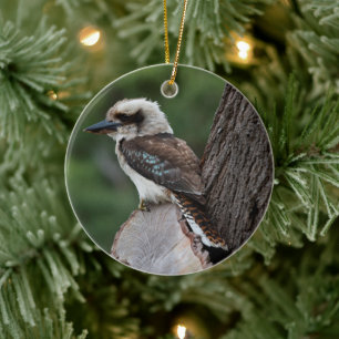 Slakt Kookaburra Bird Animal Träd Julgransprydnad Keramik