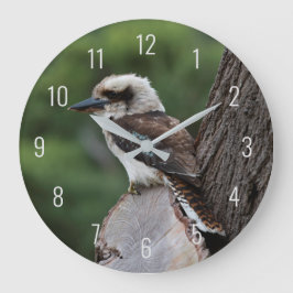 Slakt Kookaburra Bird Animal Träd Stor Klocka