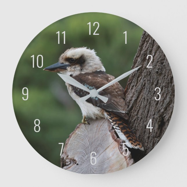 Slakt Kookaburra Bird Animal Träd Stor Klocka (Framsida)
