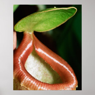 Slaktanläggningens närhet poster