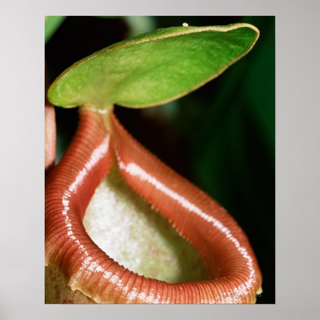 Slaktanläggningens närhet poster (Framsidan)