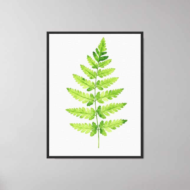 Släkte Dryopteris Canvastryck (Framsida)