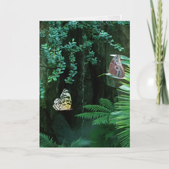 Slaktfjärilarnas medkänsla i den tropiska trädgård kort (Framsida)