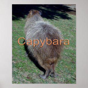 Slaktkroppar av Capybara-2 Poster