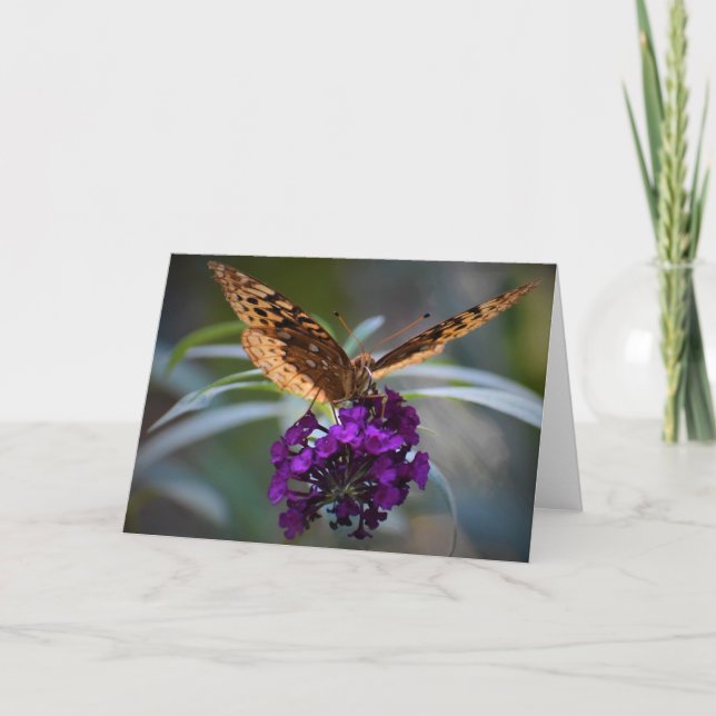 Slamflugan, kort (Framsida)