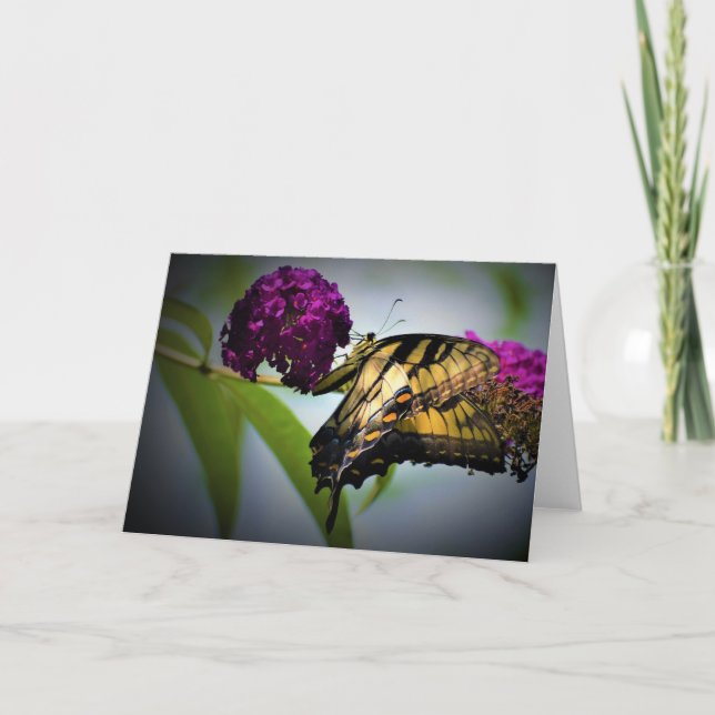 Slamflugan, kort (Framsida)