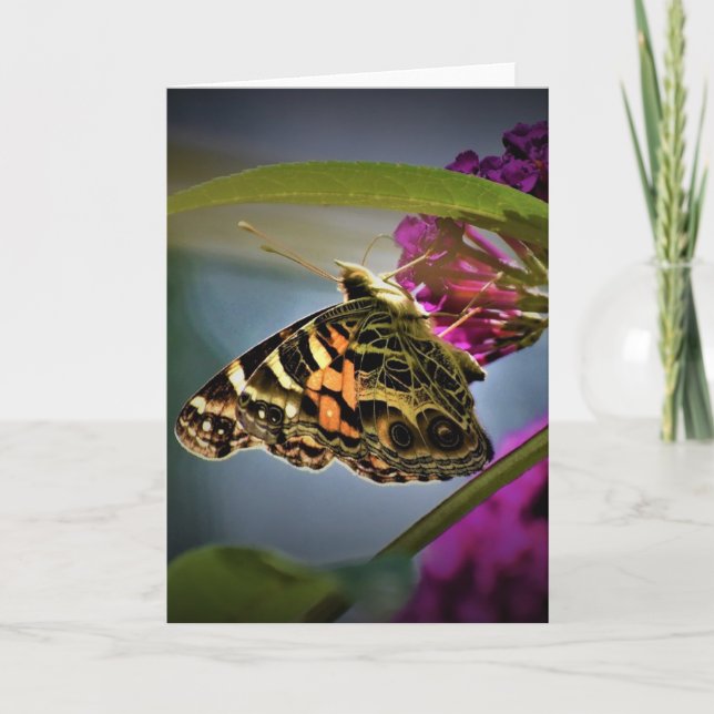 Slamflugan, kort (Framsida)