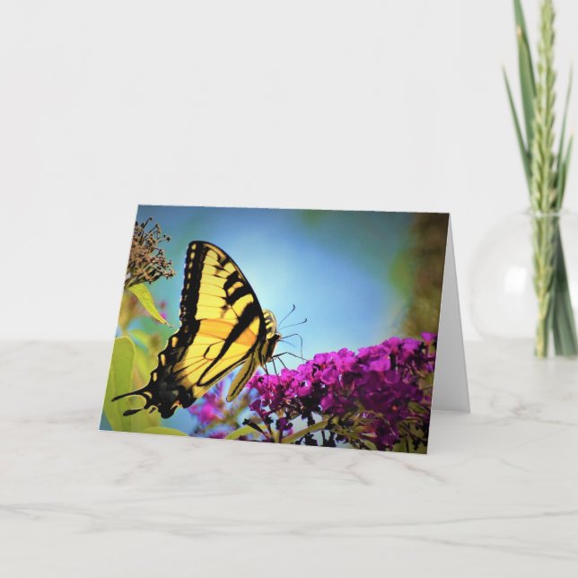 Slamflugan, kort (Framsida)