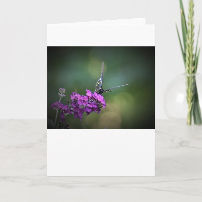 Slamflugan, kort (Framsida)