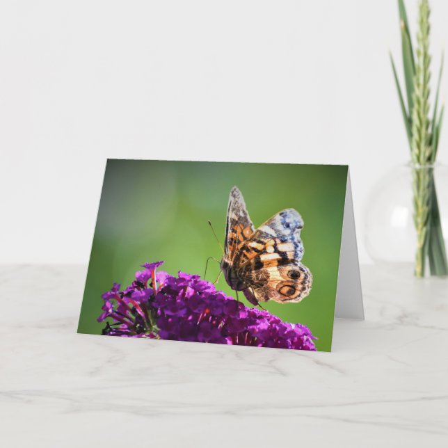 Slamflugan, kort (Framsida)