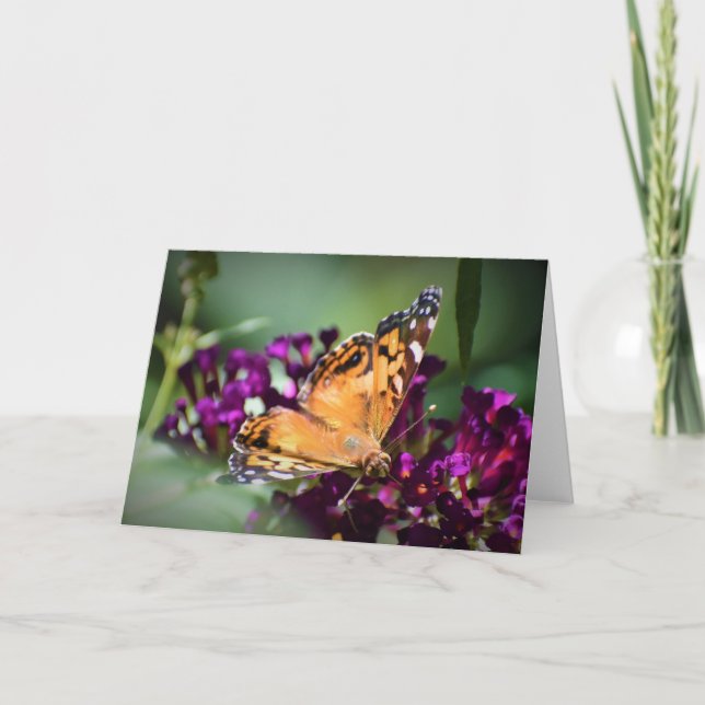 Slamflugan, kort (Framsida)