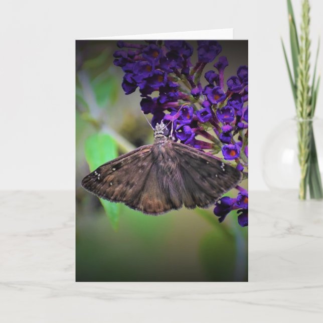 Slamflugan, kort (Framsida)